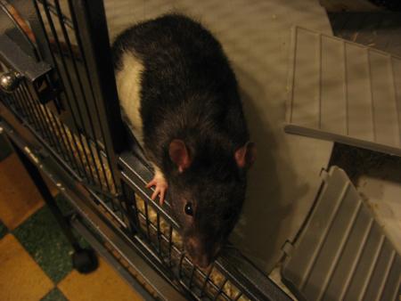 JUMPY  .