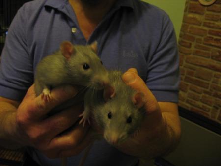 ANDY & RUSTY  .