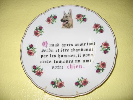 LA  BTISE  ET  LA  DESTRUCTION  HUMAINE