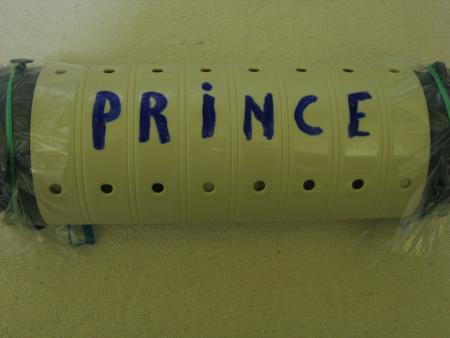 LA DERNIERE DEMEURE DE PRINCE