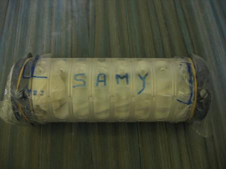 LA DERNIERE DEMEURE DE  SAMY  .
