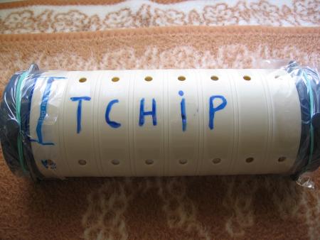LA DERNIERE DEMEURE DE  TCHIP  .