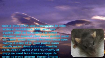 ZAZA ENCORE UN ANGE QUI NOUS QUITTE