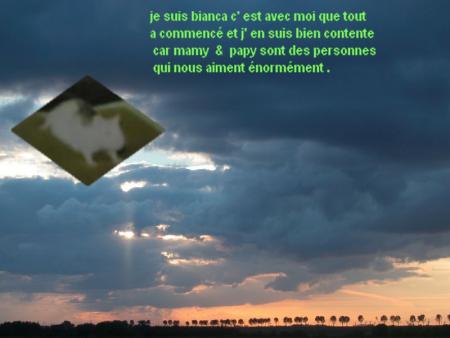 NOTRE BIANCA CHERIE