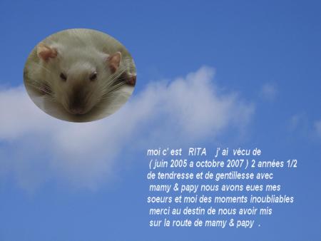 RITA   UN ANGE S' EN EST ALLE .