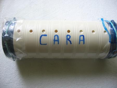 LA DERNIERRE DEMEURE DE CARA   .