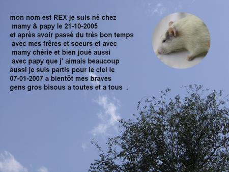 UN ANGE NOUS QUITTE    REX  .