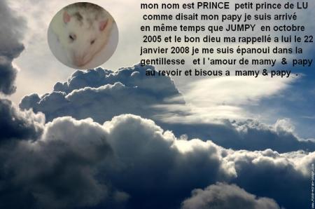 NOTRE PETIT PRINCE NOUS A QUITTE