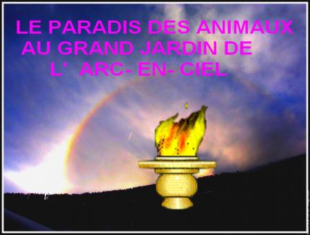 LE PARADIS .