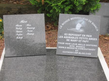 LA  SEPULTURE  DE NOS PETITS ANGES  2ème PHOTO  .