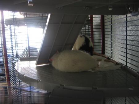 LE REPOS SECURISE