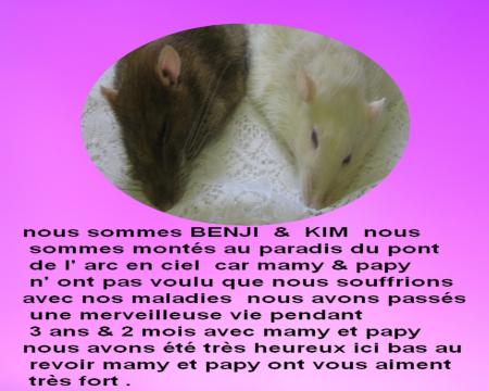 BENJI ET KIM AU PARADIS  .
