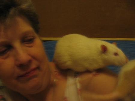 MAMY ET KILO .