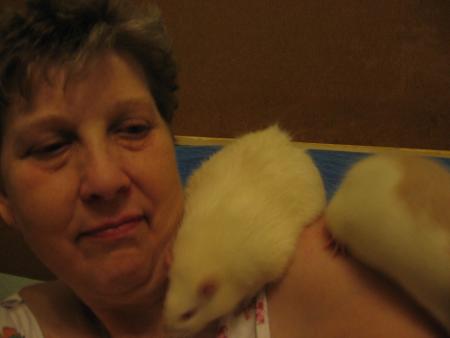 KIWI AUSSI AIME SE PROMENER SUR LES EPAULES DE MAMY .