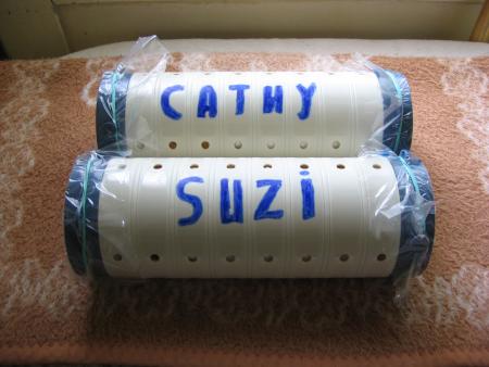 SUZY  &  CATHY  .