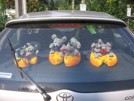 DES RATS PARTOUT (  2  )  .