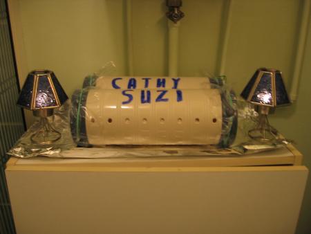 LA VEILLEE  DE  SUZY  ET  CATHY .