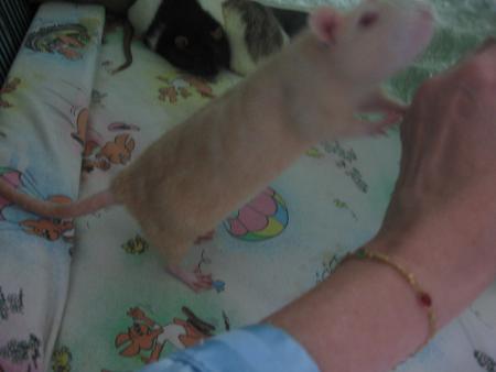 PINCKY