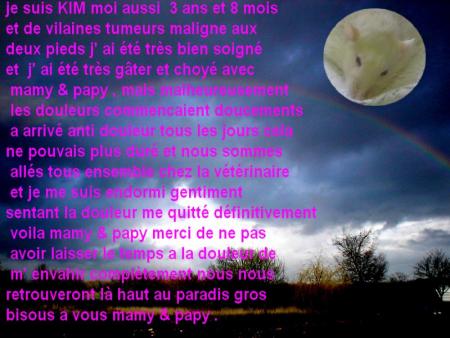 KIM  AU  PARADIS