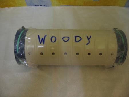 LE PETIT CERCUEIL DE WOODY .